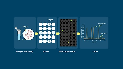 qPCR qPCR